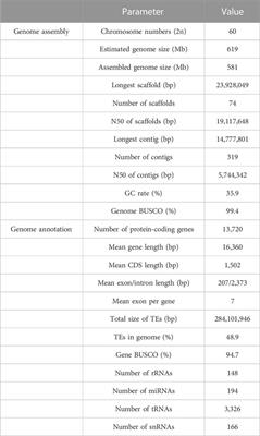 De novo assembly of a chromosome-level reference genome of the ornamental butterfly Sericinus montelus based on nanopore sequencing and Hi-C analysis